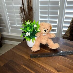 Steiff 'Fynn' Teddy Bear 7”
